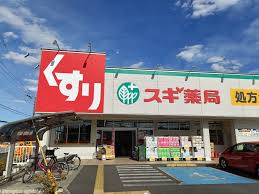 スギドラッグ秋津店(その他) スギドラッグ秋津店(その他)